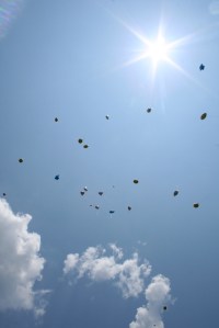 084
